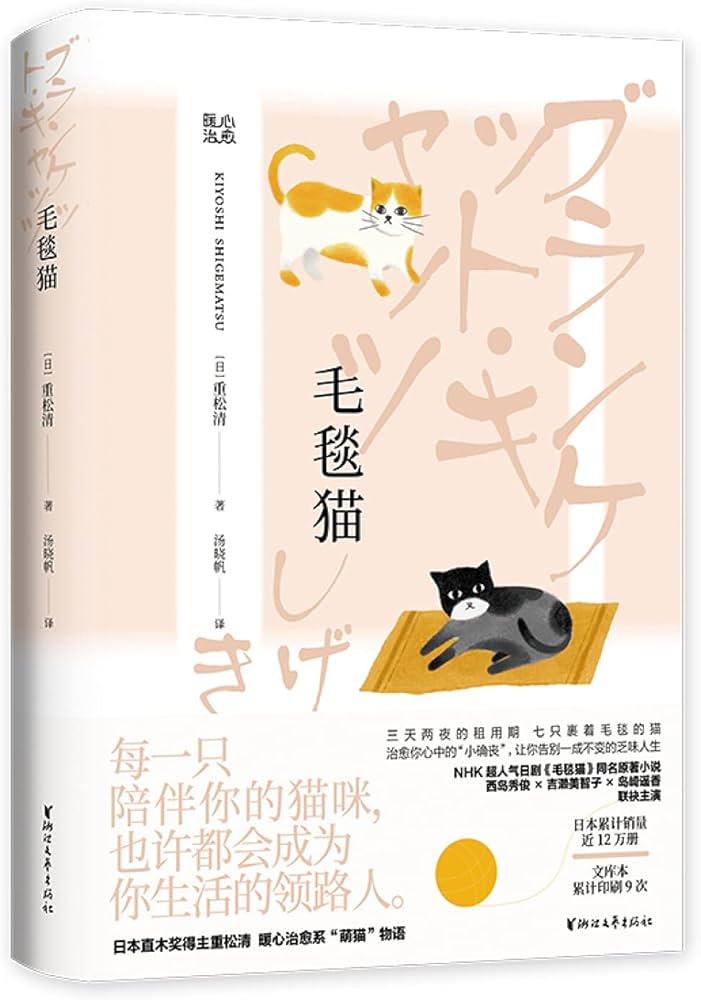 毛毯猫海报